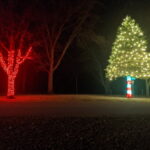 Two trees decorated with white gold and red holiday lights on trunk and in branches - Class Act Glass Best Window Cleaning Services in Mankato and Southern Minnesota