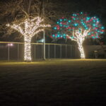 Trees decorated with white gold green and red holiday lights on truck and in branches - Class Act Glass Best Window Cleaning Services in Mankato and Southern Minnesota
