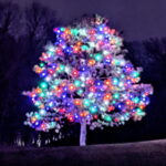 Multicolored holiday lights in tree branches at night - Class Act Glass Best Window Cleaning Services in Mankato and Southern Minnesota